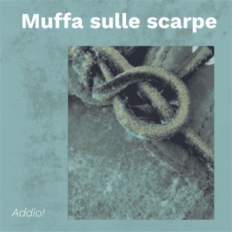 Muffa sulle scarpe: come eliminarla efficacemente!.